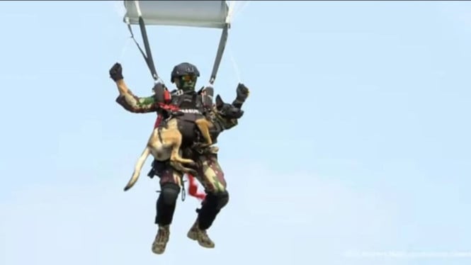 Prajurit Kopassus Terjun Payung Bawa Anjing