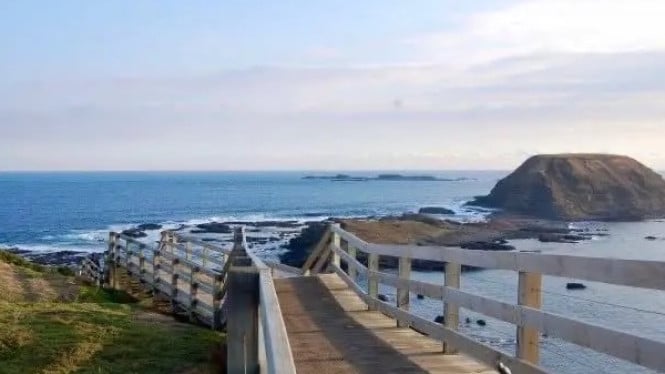 The Nobbies Boardwalk Lookout, Phillip Island