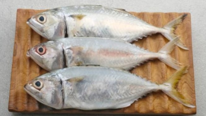 Ikan Kembung