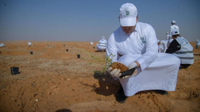 Arab Saudi Tanam Lebih dari 3.000 Bibit di Wilayah Jouf