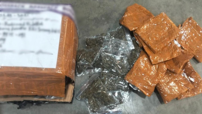 Paket ganja yang diamankan di Bandara Sentani