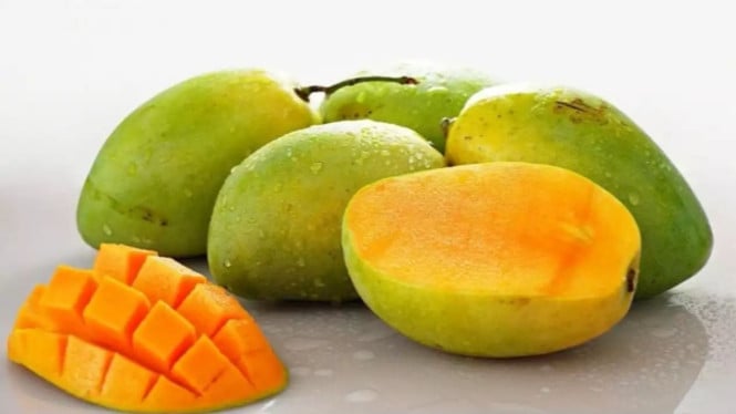 Ilustrasi Buah Mangga