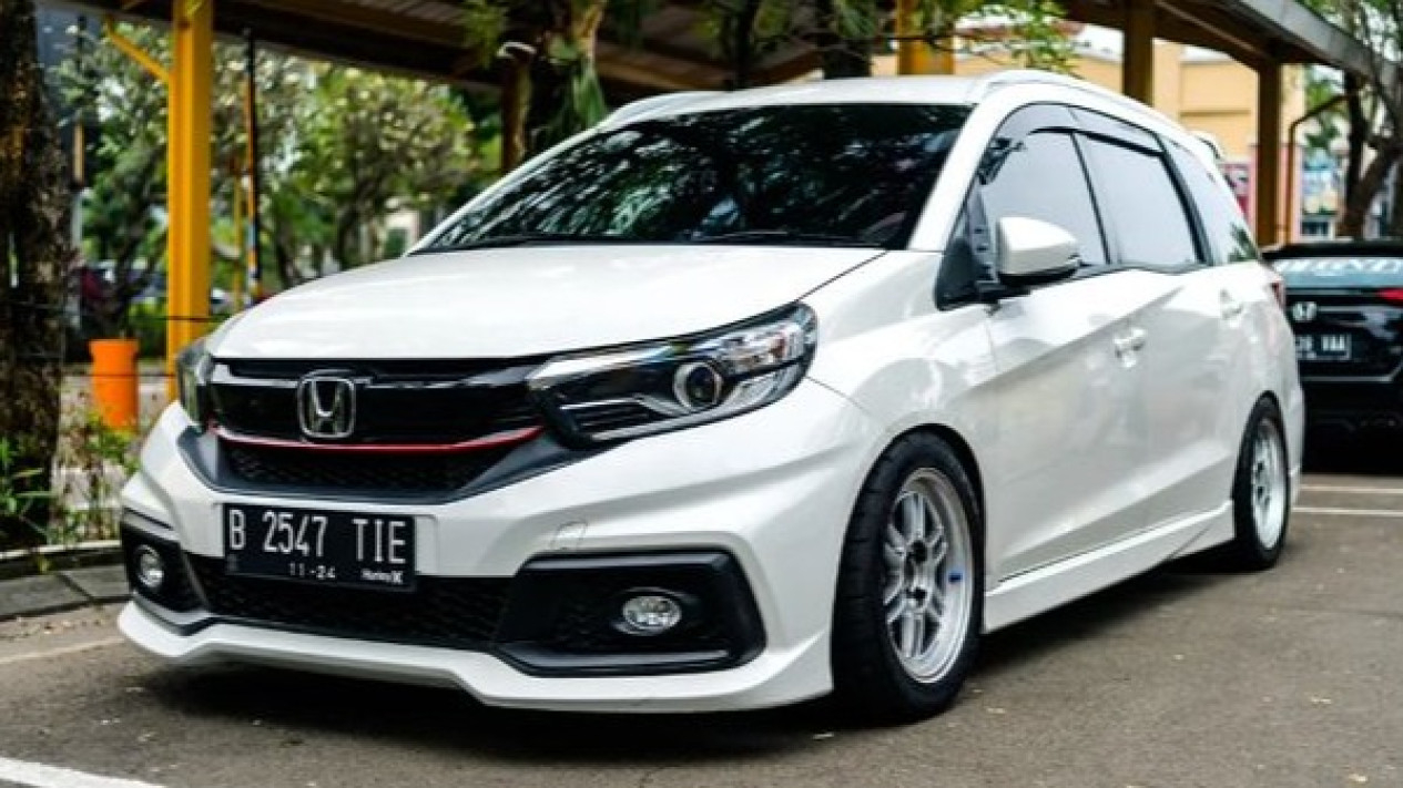 Pelindung Cat Mobil