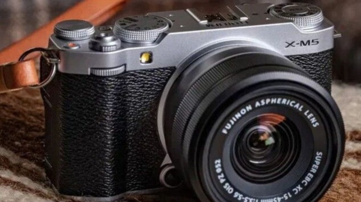 Fujifilm vs Sony