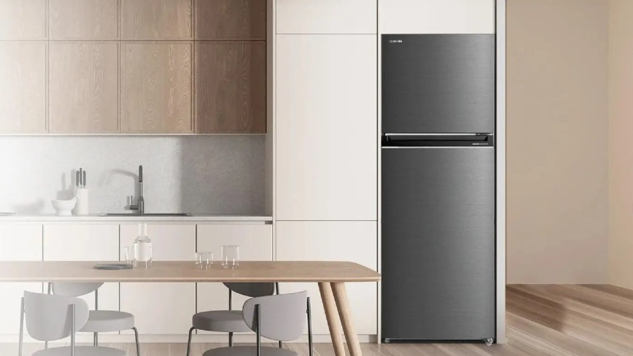Toshiba Kulkas 2 Pintu