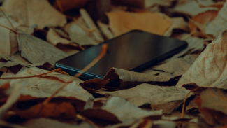 Smartphone di tumpukan dedaunan