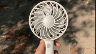 Article