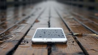 Article