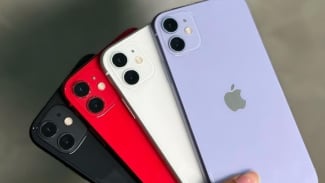 Article