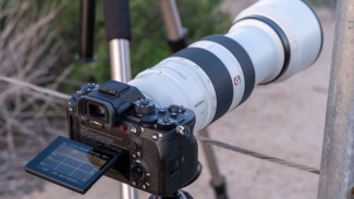 Kamera atau Lensa Bagus, Mana Lebih Penting untuk Fotografi dan Videografi Pemula?