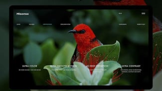 Photo Mini 2