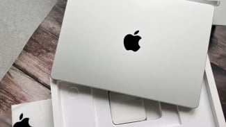 Article