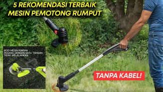 5 Mesin Potong Rumput Cordless Terbaik di Bawah Rp1 Juta di Agustus 2025