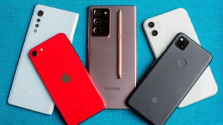 Article