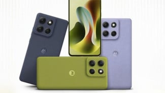 Article