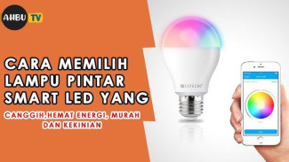 4 Tips Jitu Memilih Lampu Downlight LED: Panduan Lengkap untuk Rumah Impian!