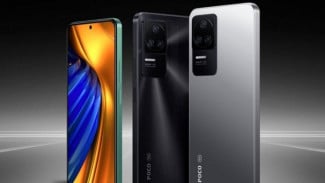 Photo Mini 6