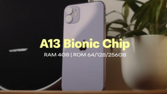 Kreator Ini Bagikan Pengalaman Menggunakan iPhone 11 di 2025, Masih Worth It?