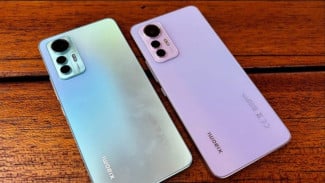 Photo Mini 2