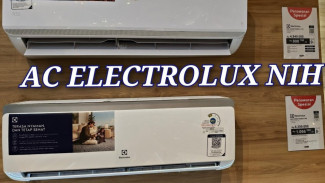 AC Electrolux: Blue Fin vs Gold Fin, Mana Lebih Awet dan Hemat?