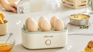 Bear Egg Steamer 2026: Diuji 280W Hemat Listrik, Telur Matang Sempurna