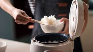 7 Rice Cooker Low Carbo 2026 Anti Diabetes Mulai 600 Ribuan