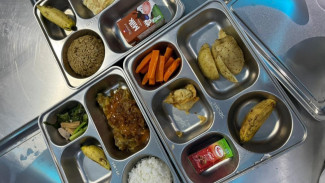 BGN Minta Menu MBG Tidak Monoton, Luncurkan Aplikasi Reviu Kualitas