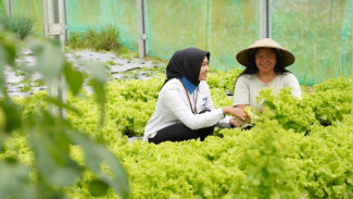 Gaet 23,3 Juta Nasabah, PNM Sabet Penghargaan Indonesia Most Trusted Companies