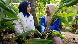 43 Ribu Pendamping PMN Wajib Turun Gunung Optimalkan Potensi 23,3 Juta Nasabah