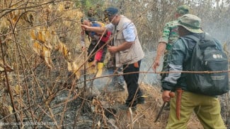 Kebakaran Lahan Perhutani di Talagawangi Berhasil Dipadamkan