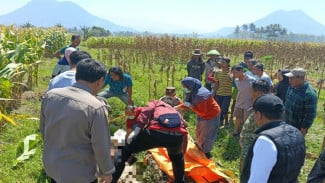 Perempuan Lansia Ditemukan Tewas di Kebun Jagung