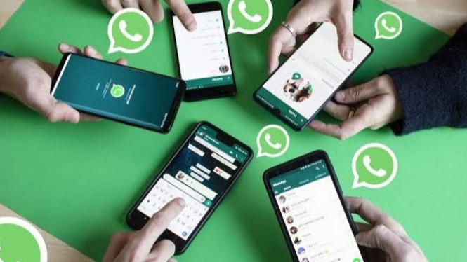 Cara WhatsApp Tidak Disadap