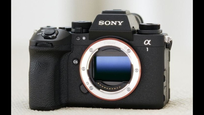 Sony Alpha 1 II