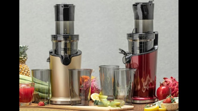 Ecohome Slow Juicer ESJ 999