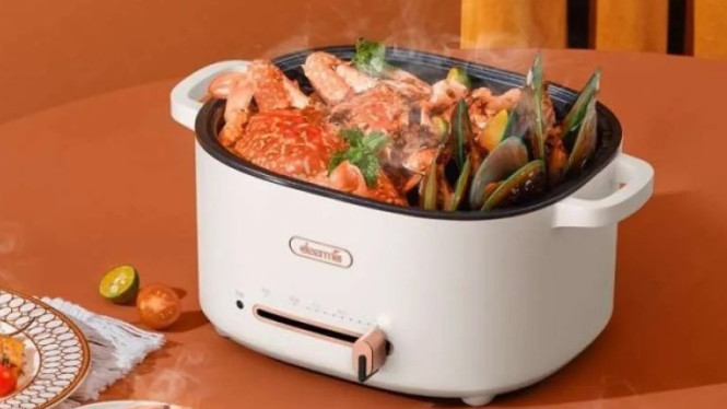 Panci Listrik Deerma DG20