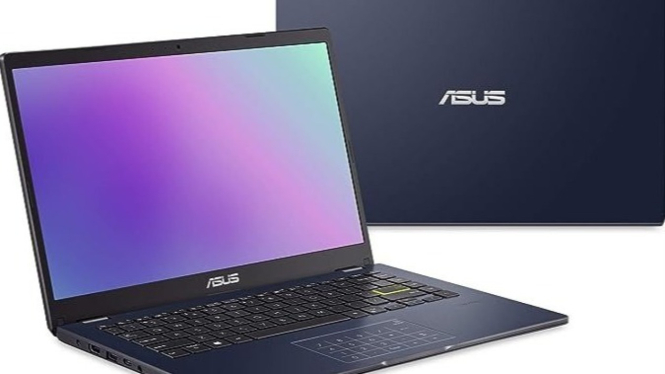 Asus Vivobook GO 14
