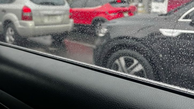 Cara Tepat Bersihkan Jamur Mobil saat Hujan