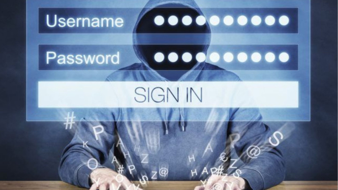 Hacker