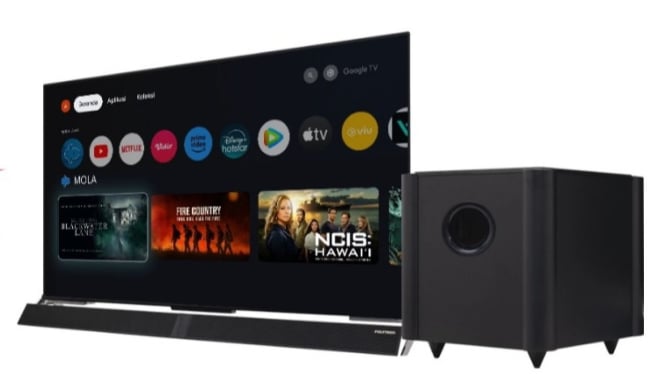 POLYTRON 4K UHD Smart Google TV 55 Inci