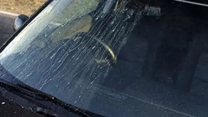 Bongkar Cara Membersihkan Noda Jamur di Kaca Mobil