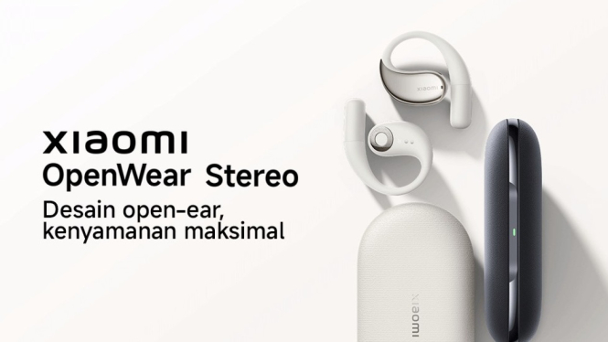 Xiaomi OpenWear Stereo