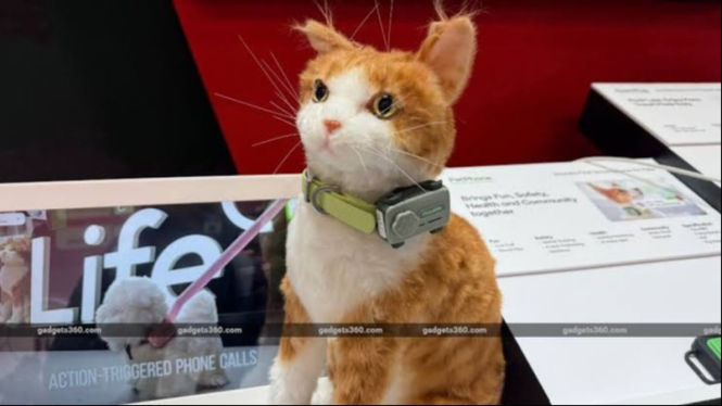PetPhone