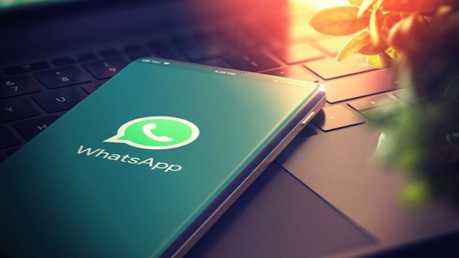 Cara Menyembunyikan Status Online WhatsApp