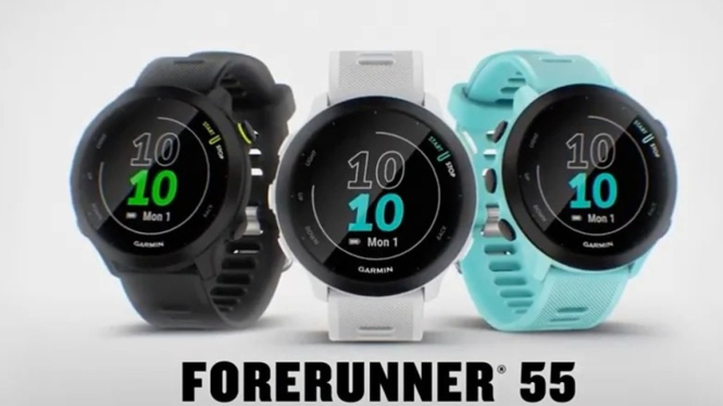 Garmin Forerunner 55