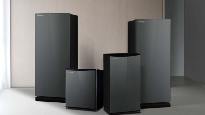 TOSHIBA GR-RD196CC-DMF 151 L, Kulkas 1 Pintu