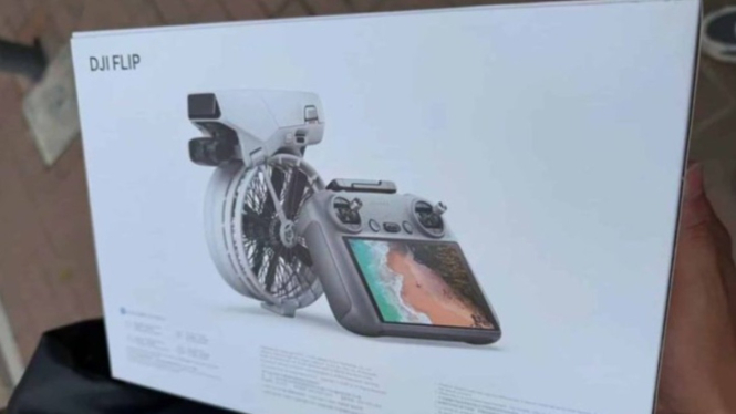 DJI Flip