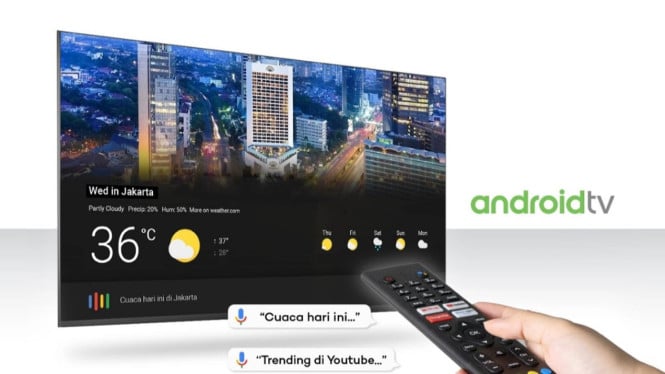 Polytron Smart Cinemax Android TV 43 Inch – PLD 43TA5055