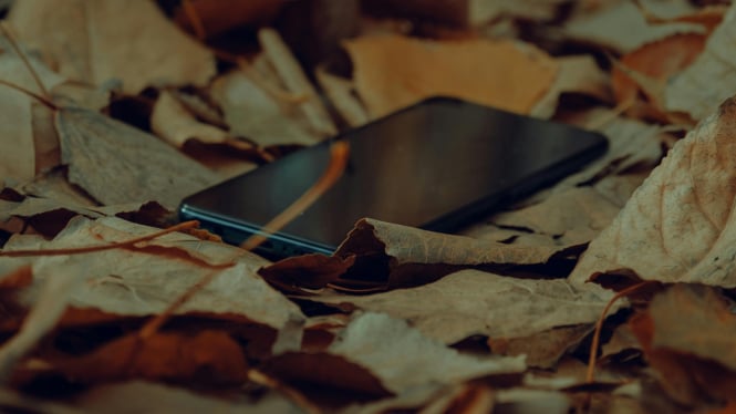 Smartphone di tumpukan dedaunan