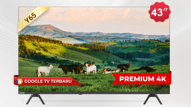 Coocaa 43Y65, Google TV