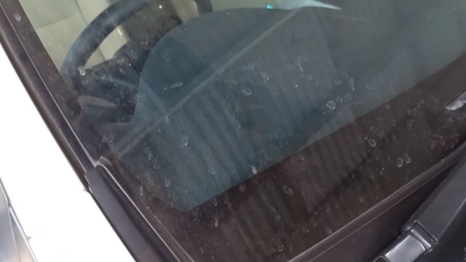 Cara Hilangkan Jamur dan Kerak Kaca Depan Mobil